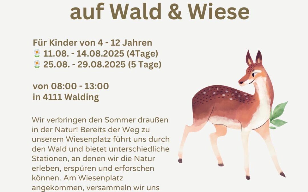 Ferienerlebnisse 2025