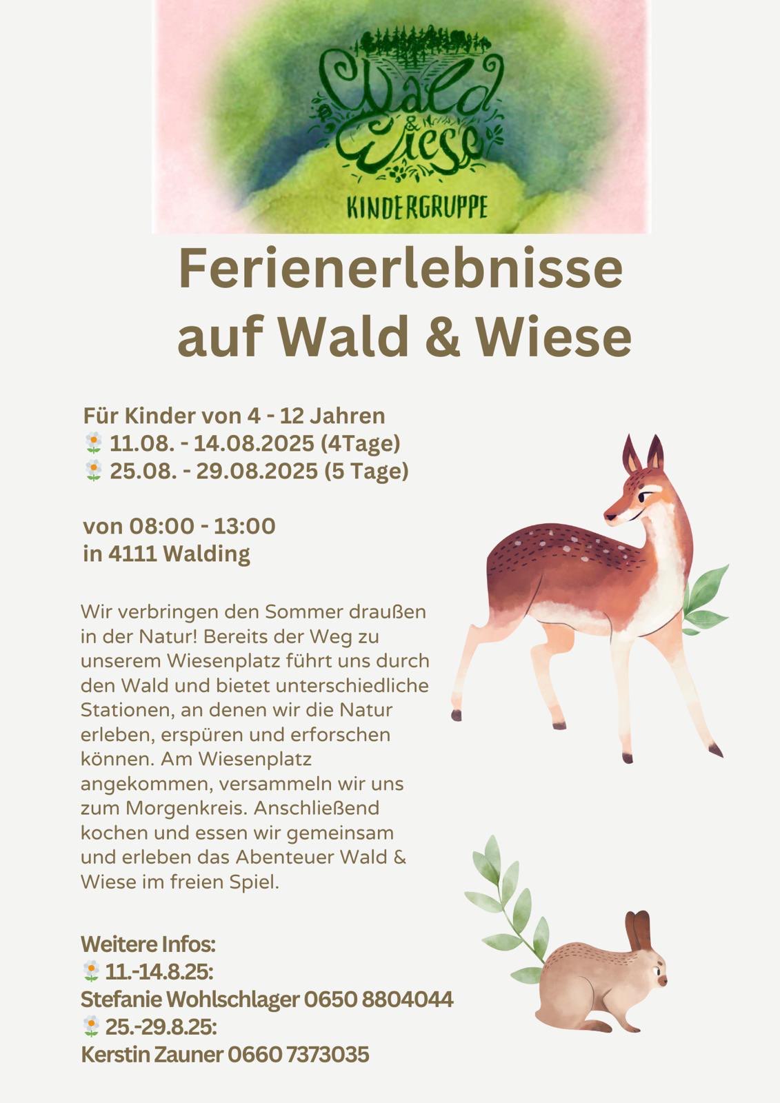 Flyer: Ferienerlebnisse auf Wald & Wiese 2025