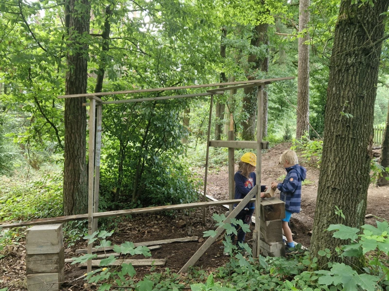 Kinder beim Arbeiten im Wald