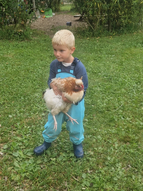 Kind mit Henne in den Armen